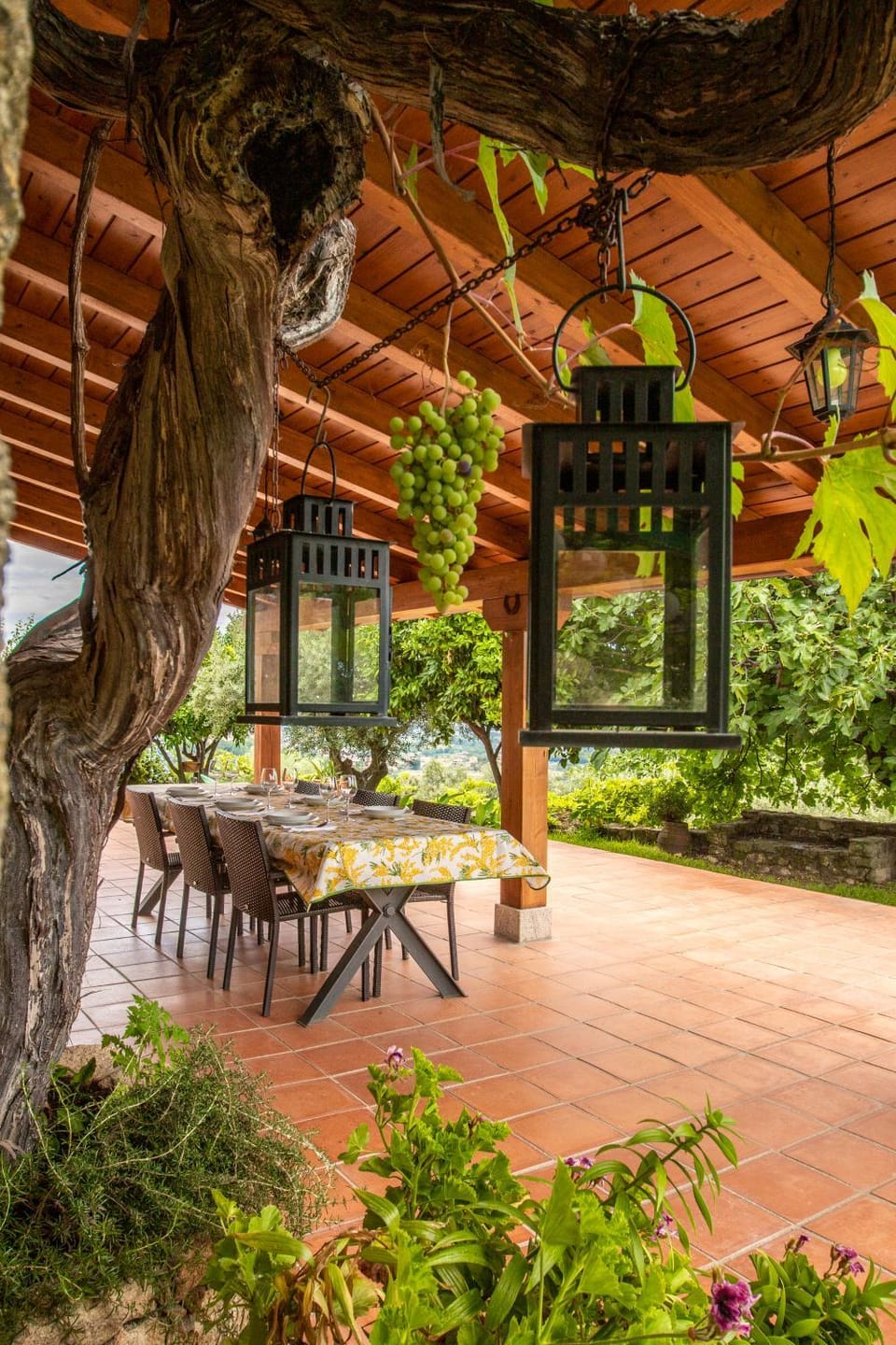 Garden, Dining area, Garden view
