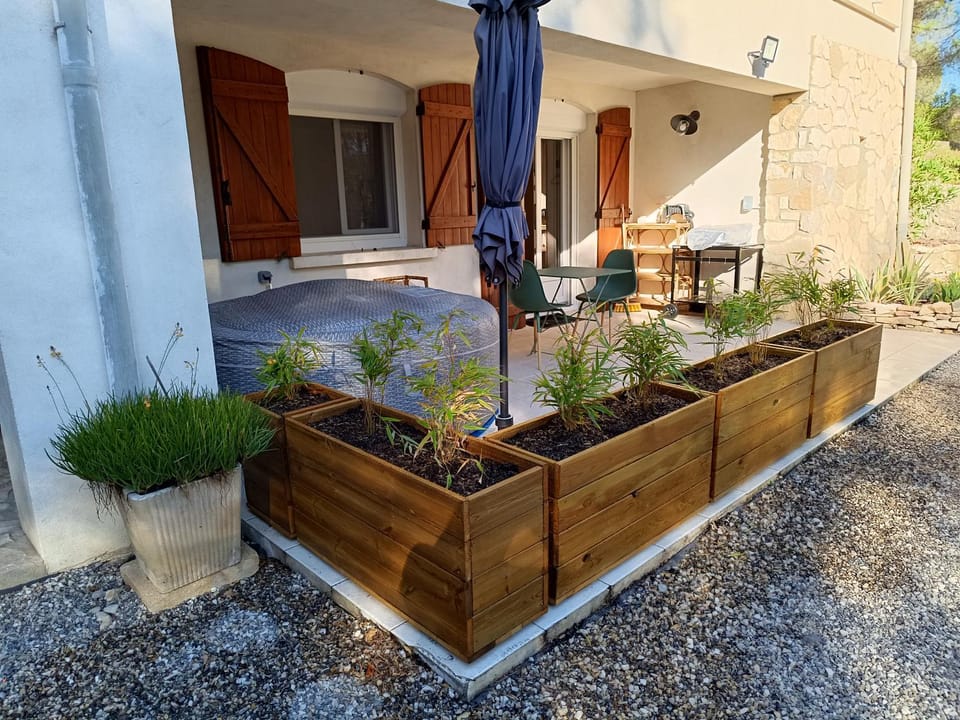 Garden view