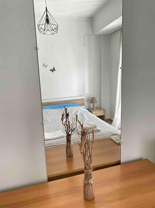 Beautiful Central Apartment ΙΙ Apartment in Euboea