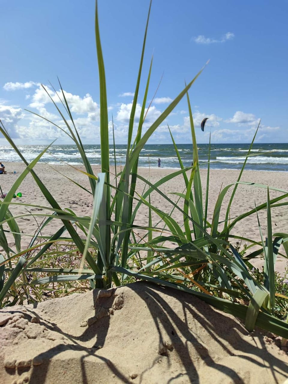 Beach, Sea view