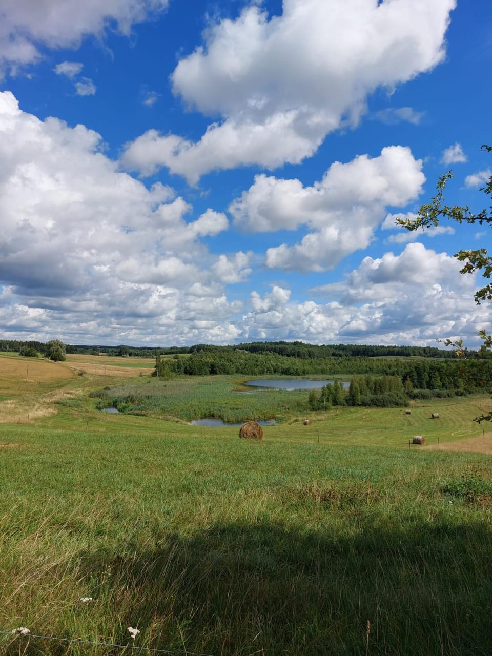 Natural landscape