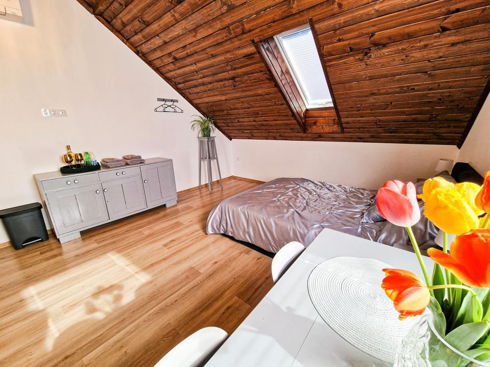GraVelo - Apartament Jacuzzi Apartment hotel in Lesser Poland Voivodeship