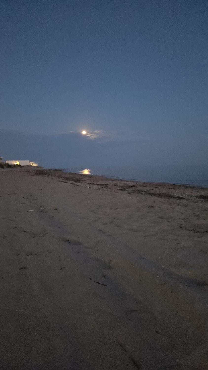 Night, Beach, Sea view