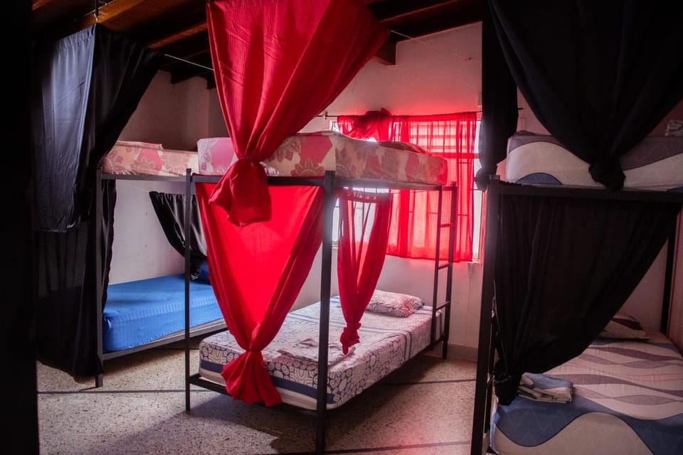 Bed, Photo of the whole room, Bedroom, bunk bed