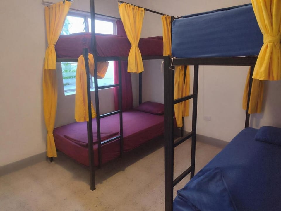 Bed, Photo of the whole room, Bedroom, bunk bed
