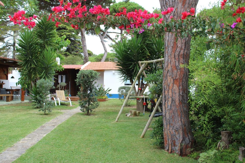 Garden, Garden, Garden view