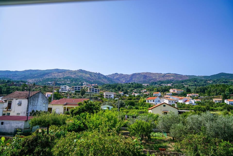 View (from property/room)