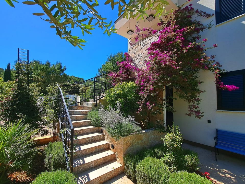 Property building, Day, Summer, Garden, Garden view