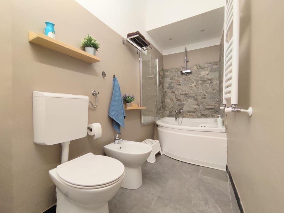 Shower, Toilet, Bathroom, Bath, bidet