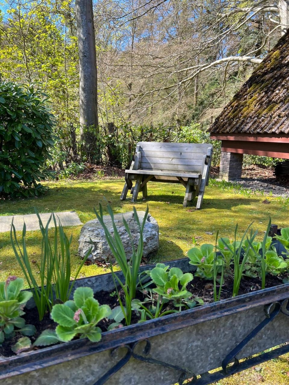 BBQ facilities, Garden, Other, Garden view