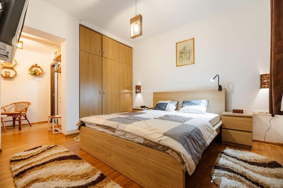 Casa cu Turn Apartment in Sibiu