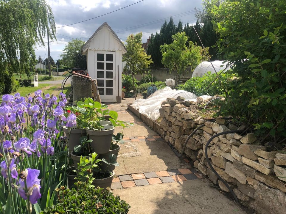 Garden, Garden view
