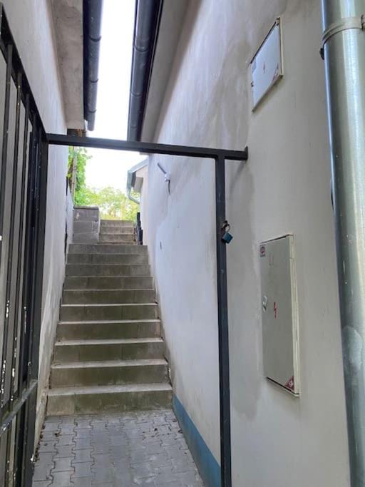 Apartmán Králíček na vínné stezce Apartment in South Moravian Region