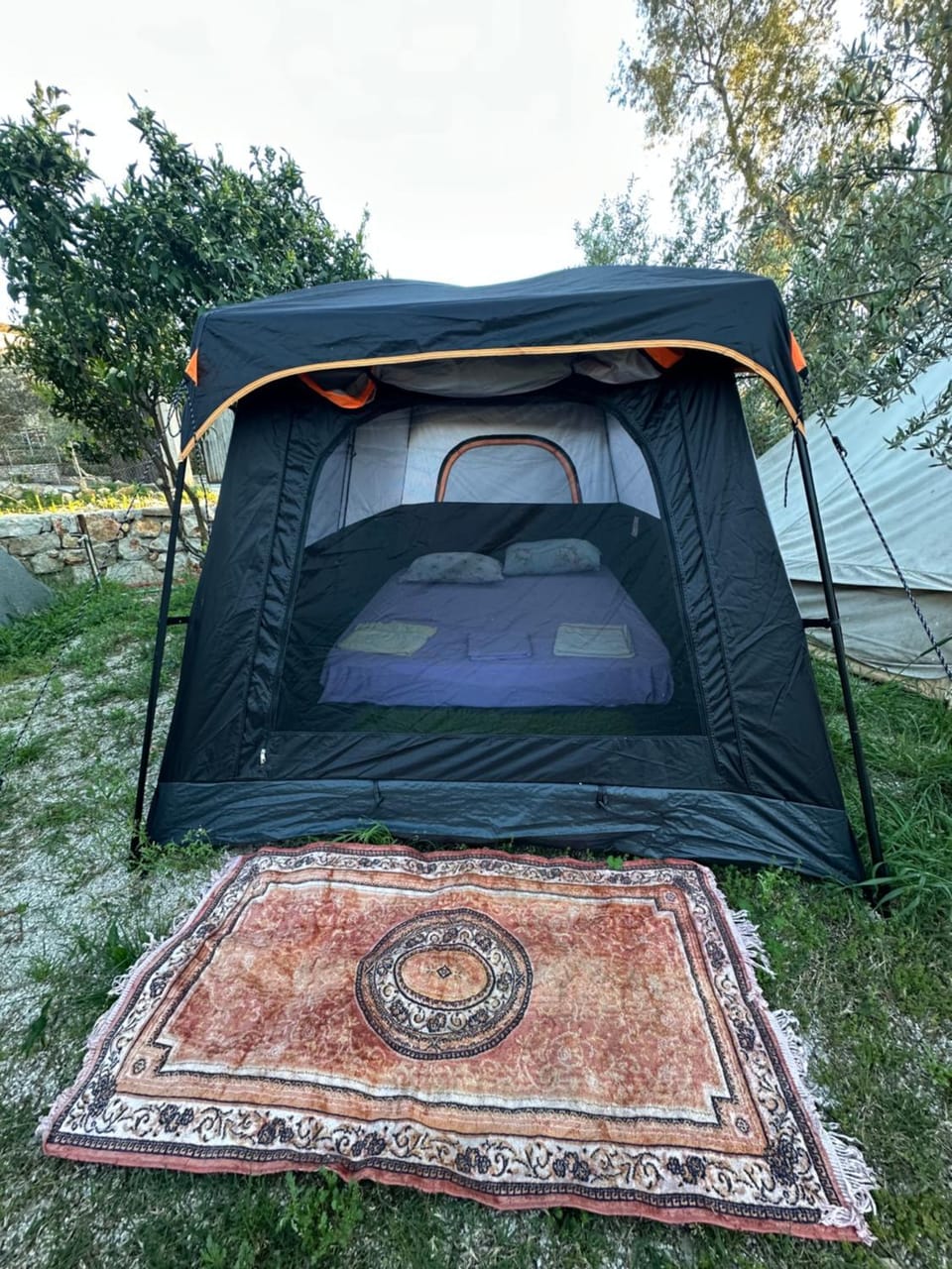 Bed, Day, Photo of the whole room