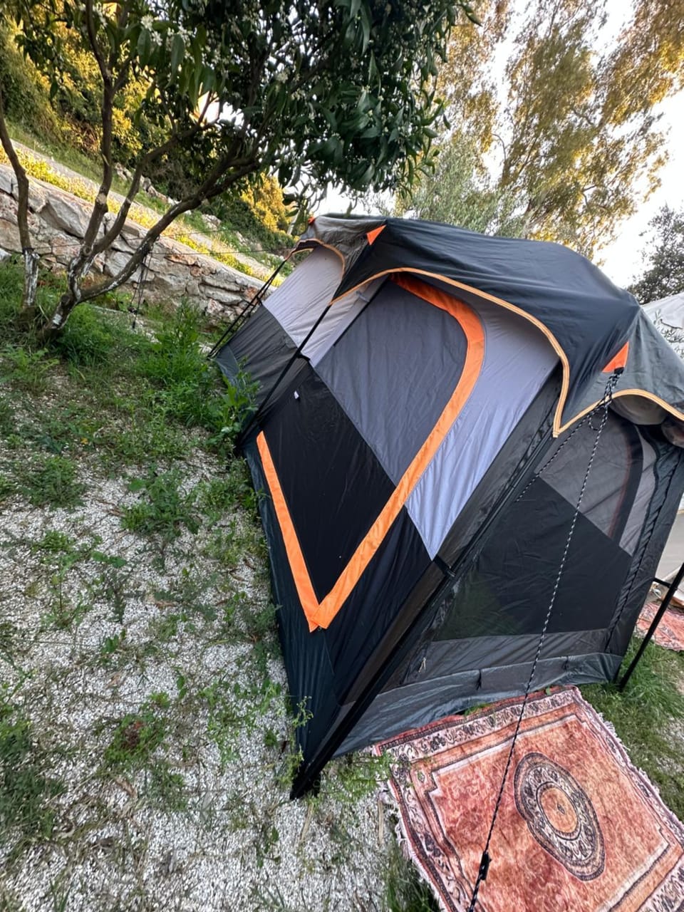 Day, Natural landscape