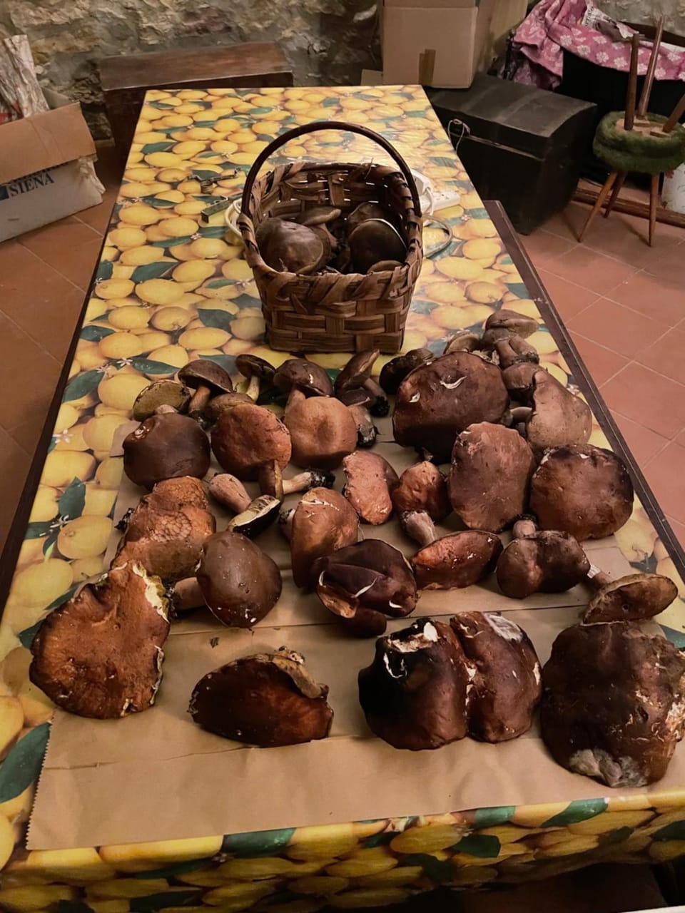 CasaMoira Apartment in Tuscany