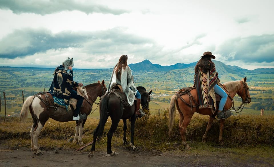 People, Horse-riding, Animals