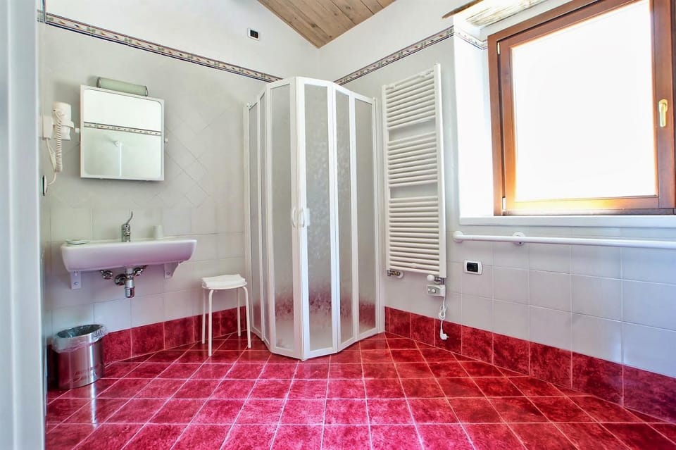 Shower, Toilet, Bathroom, Facility for disabled guests
