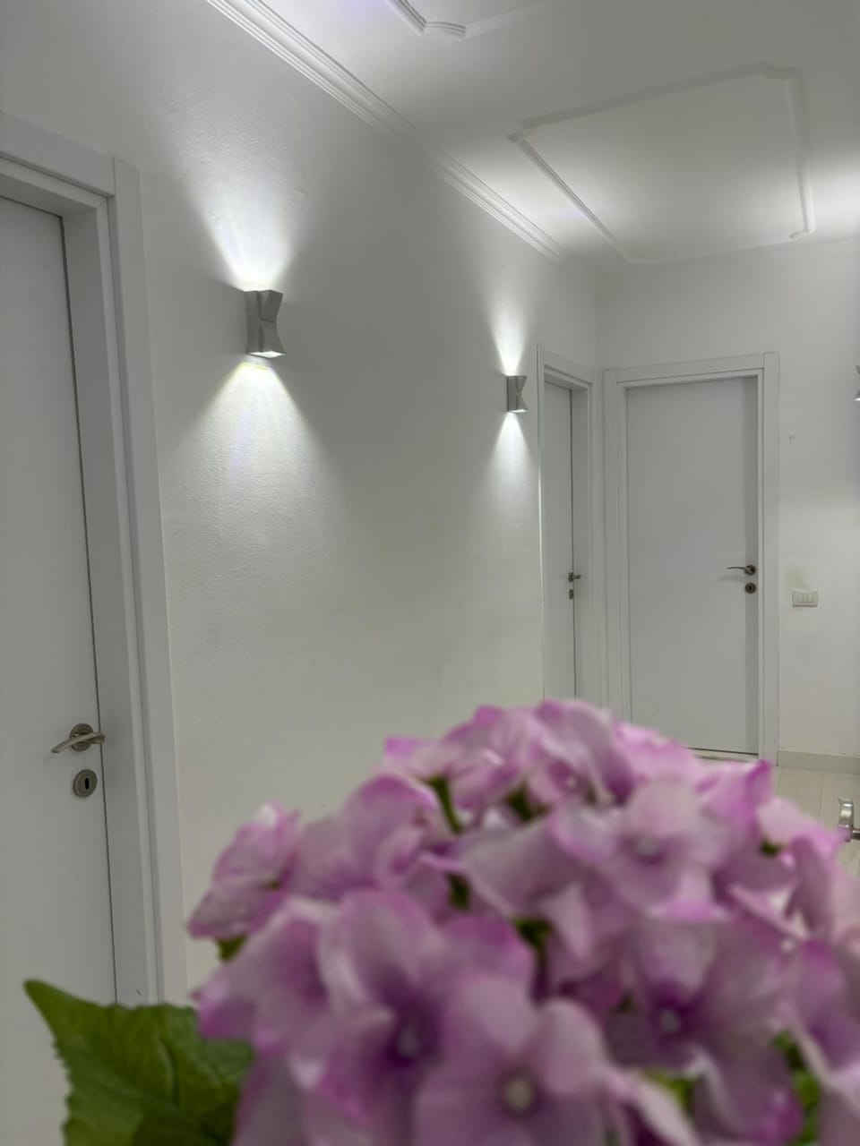 Center, Selvia White Apartment Apartment in Tirana