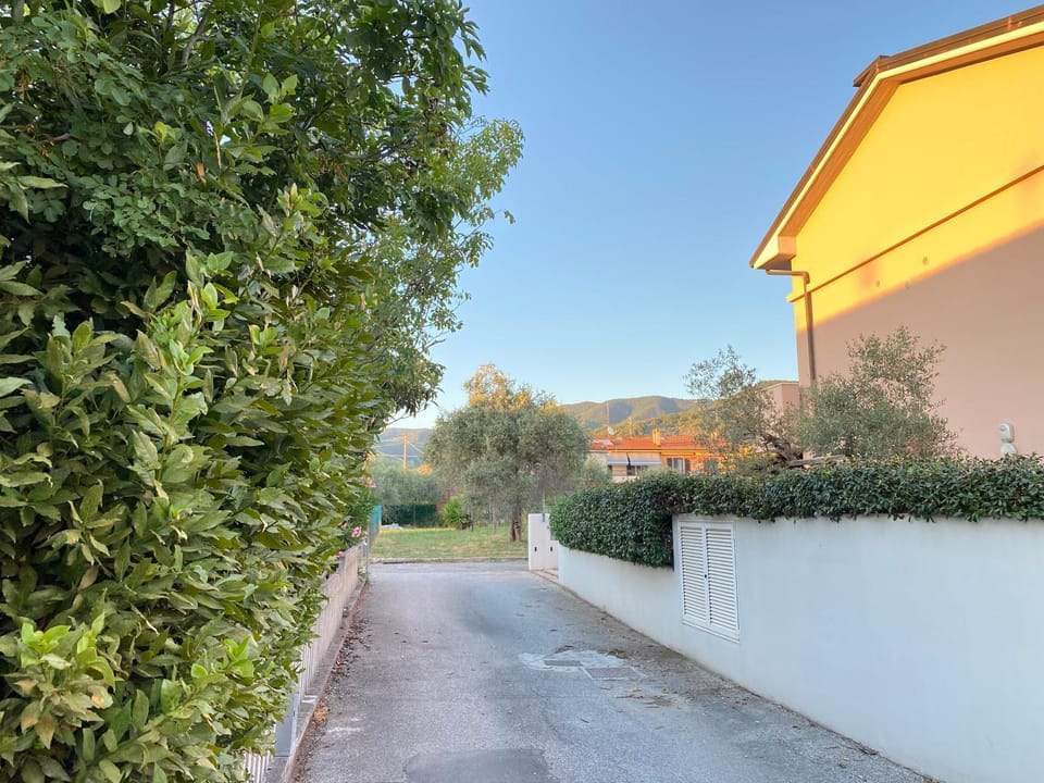 Neighbourhood, Street view