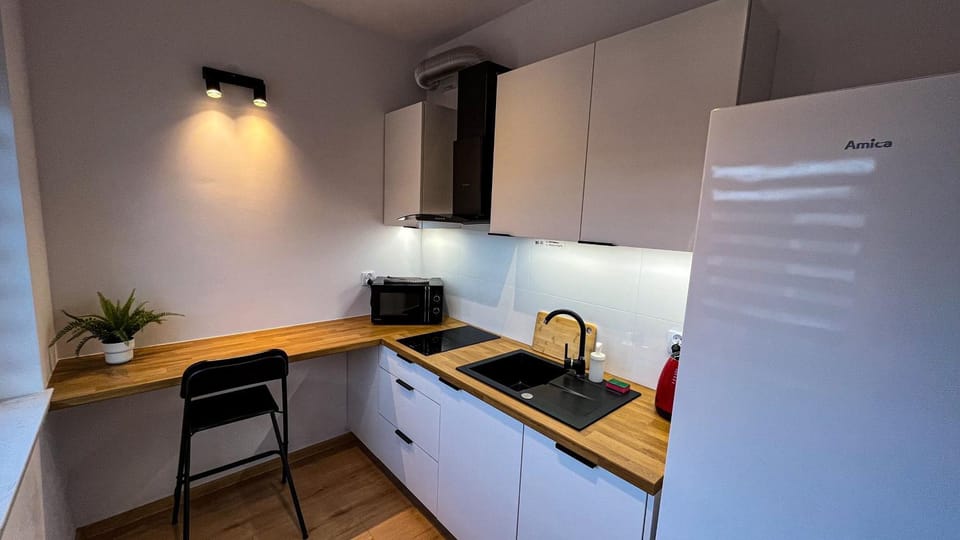 Apartament Lublin Centrum "Ice Cat" FREE PARKING Apartment in Masovian Voivodeship