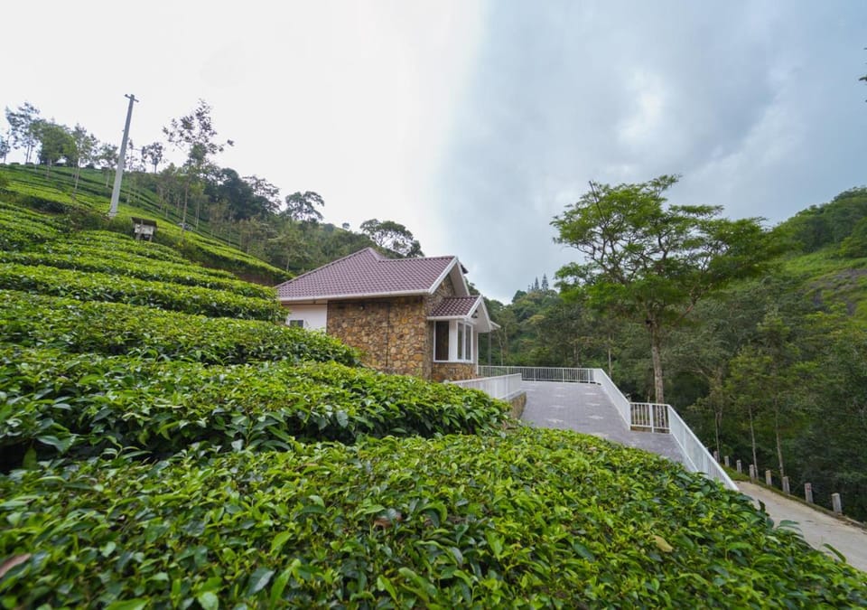 Property building, Natural landscape, Garden view