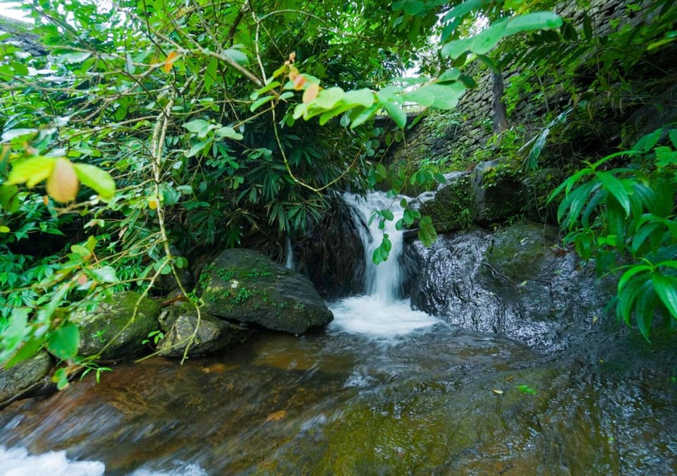 Day, Natural landscape