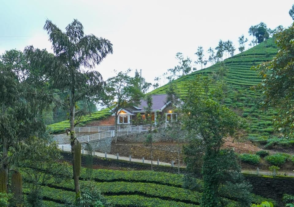 Property building, Day, Natural landscape, Garden view