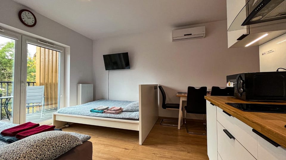 Bed, TV and multimedia, Kitchen or kitchenette, Living room, Photo of the whole room, Seating area, Dining area, Bedroom, minibar, air conditioner