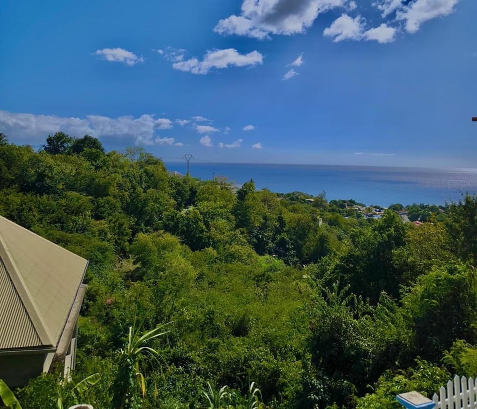 Bèl Péyi - Bas de Villa T4 Proche de la Plage Apartment in Bouillante