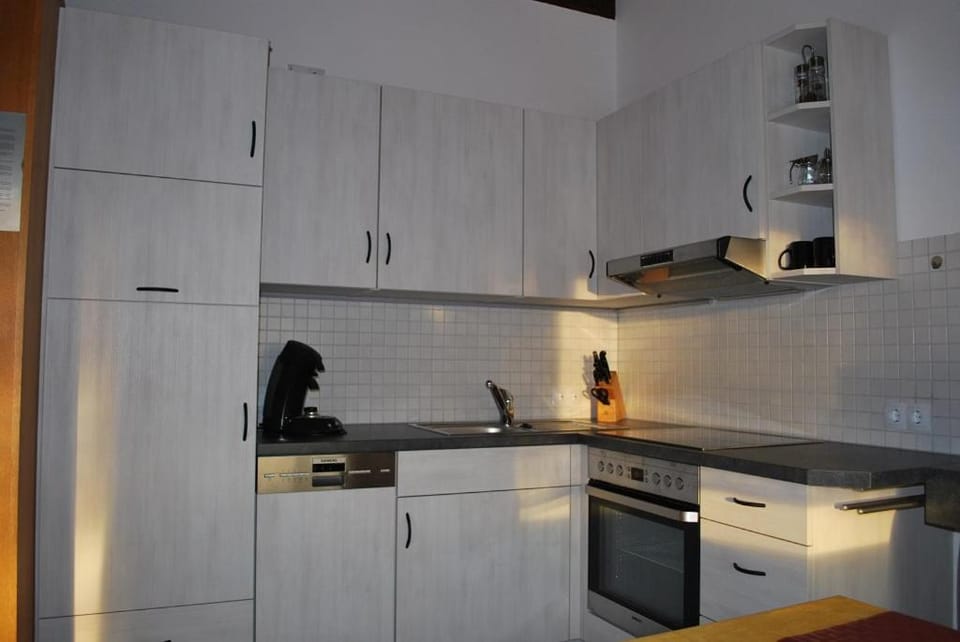 Kitchen or kitchenette, dishwasher