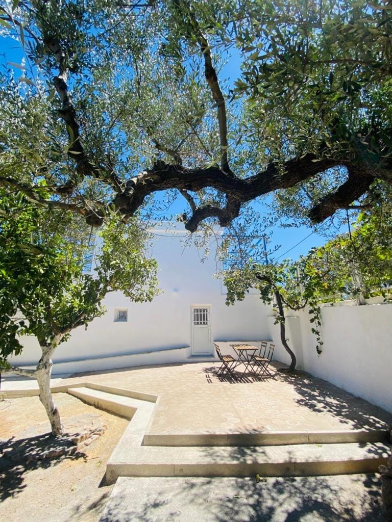 Olive tree cottage Apartment in Peloponnese Region