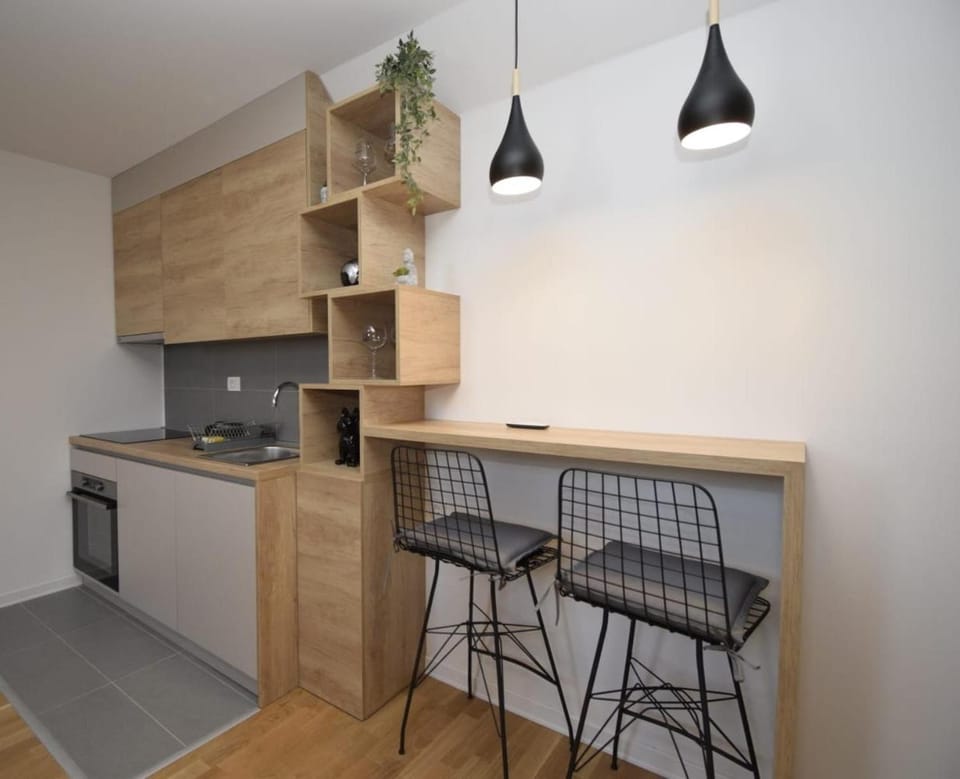 Studio apartment Art Zone II Apartment in Podgorica