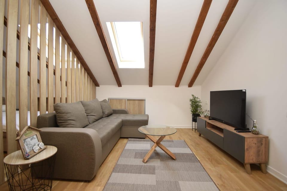 Studio apartment Art Zone II Apartment in Podgorica