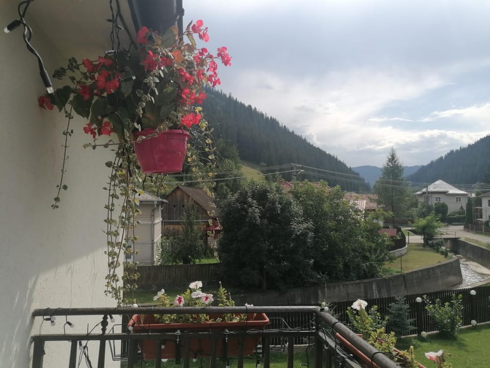 Bucovina DIA House in Romania