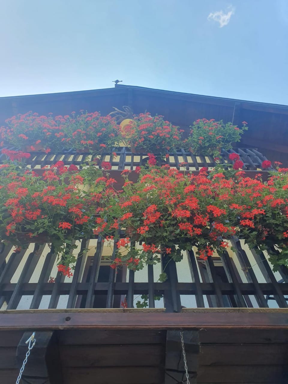 Casa Flavius 2 Bed and Breakfast in Bran