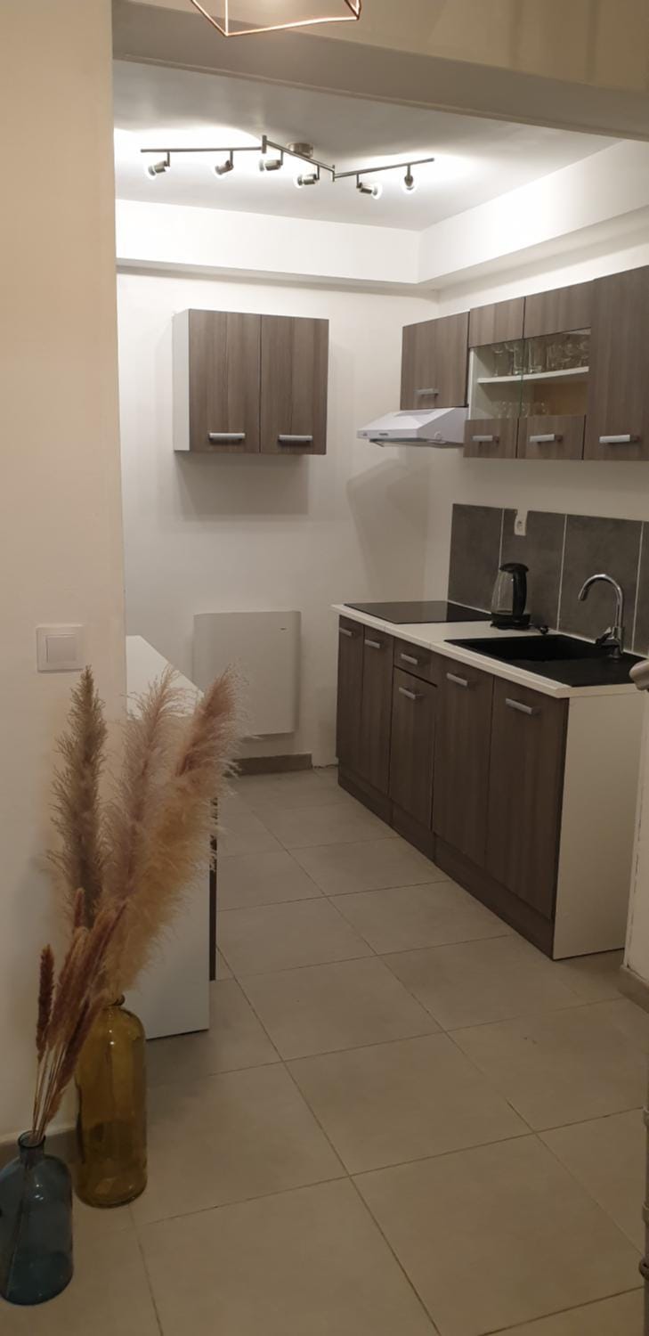 Kitchen or kitchenette, minibar, pet friendly, stove