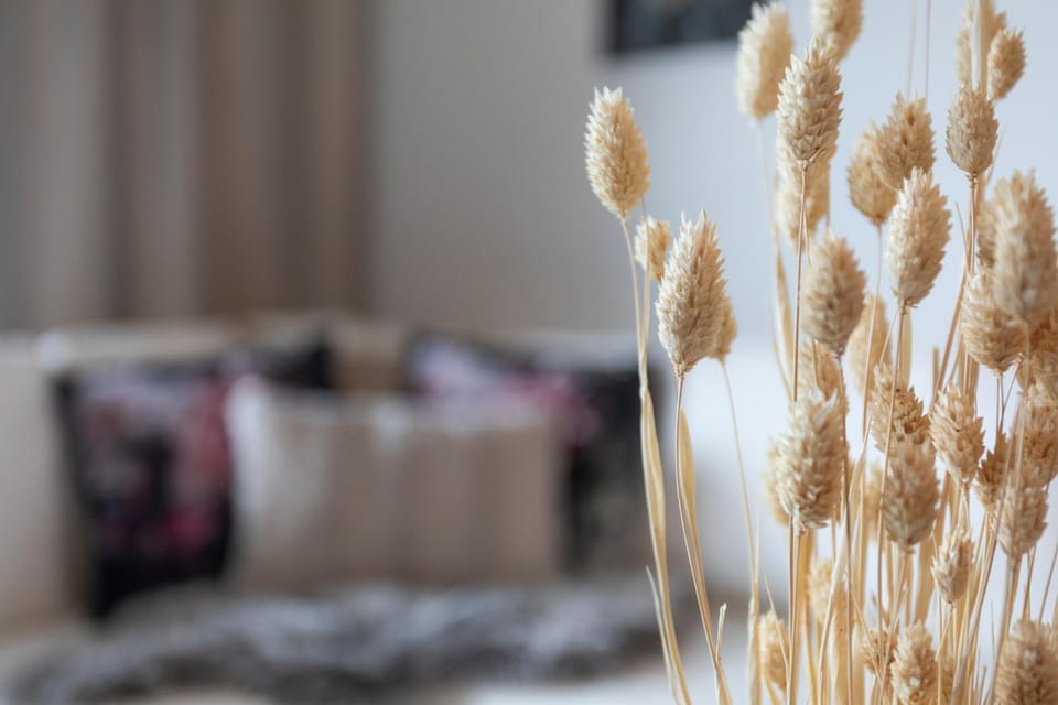 Vasko luxurious suites, Hiisi Apartment in Rovaniemi