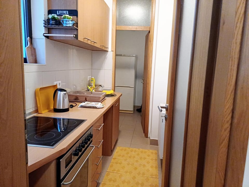 Apartmani Damir Apartment in Sarajevo