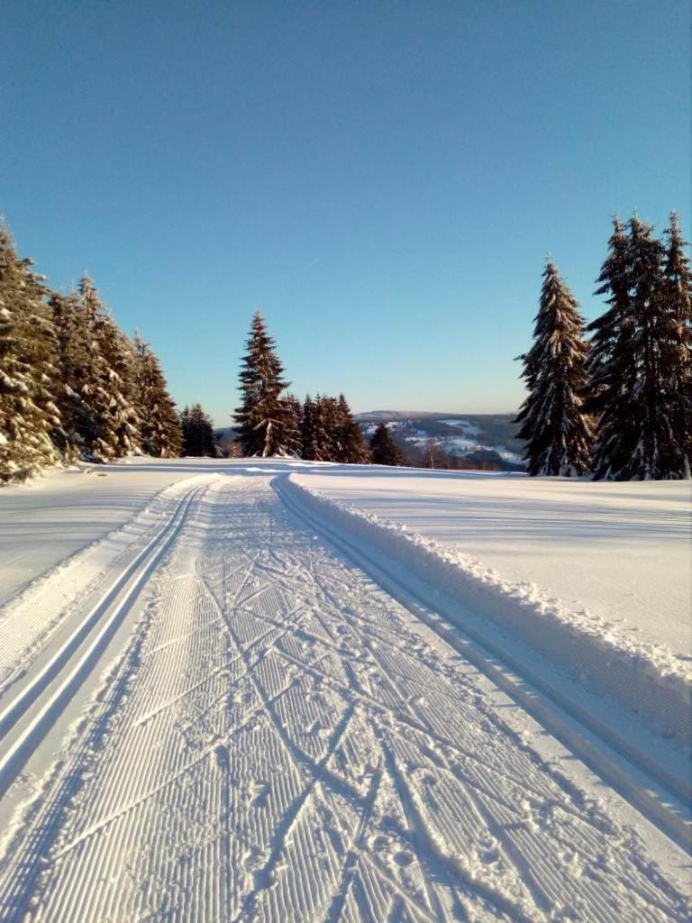 Skiing