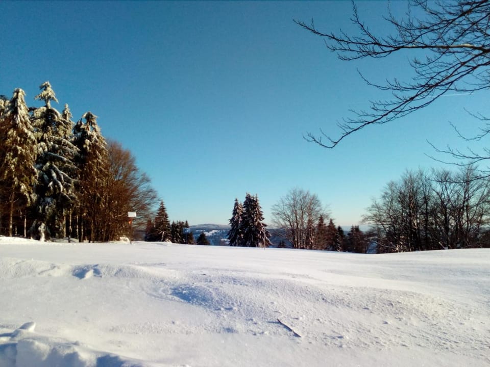 Mountain view