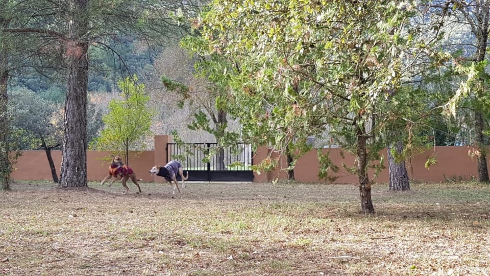 Garden, Garden view