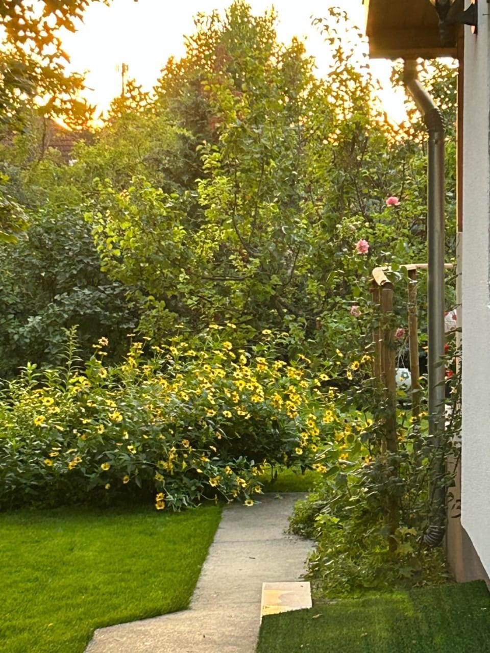 Day, Natural landscape, Garden, Garden view