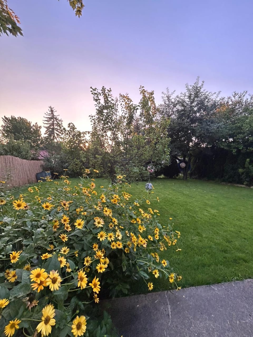Day, Natural landscape, Garden, Garden view