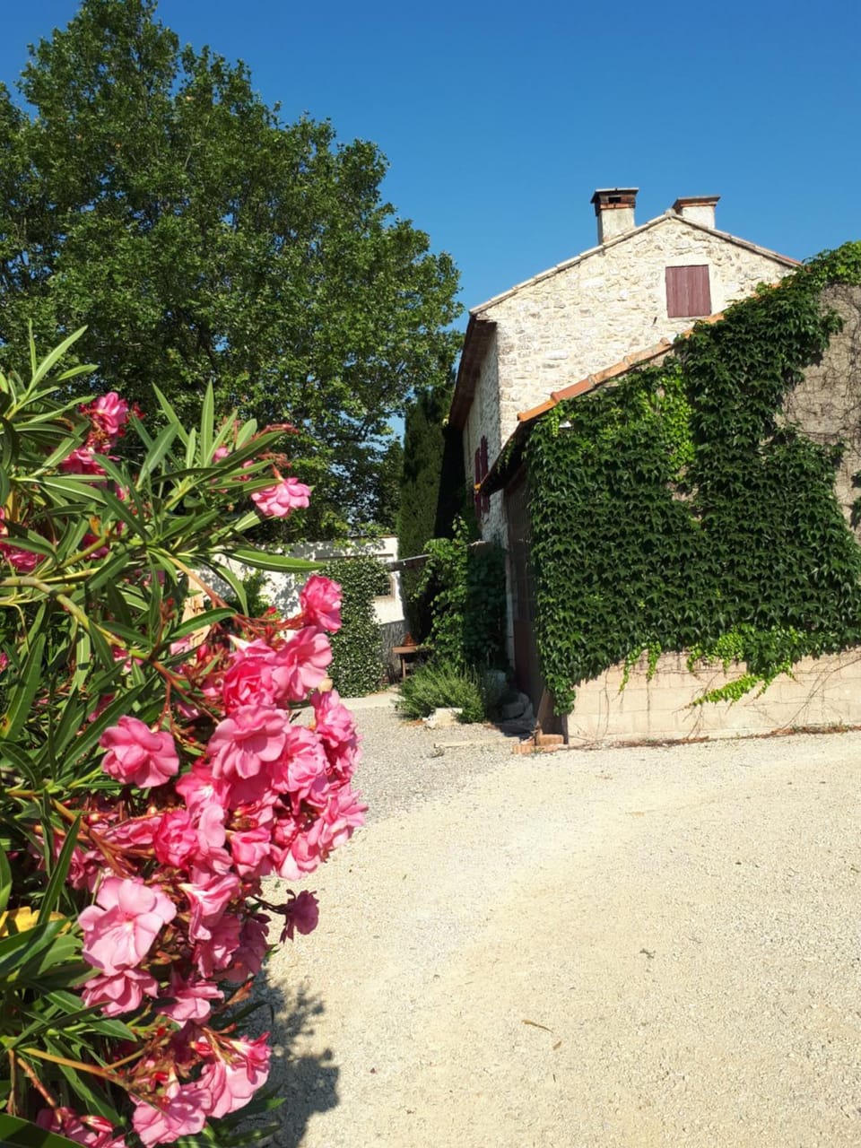 Property building, Garden