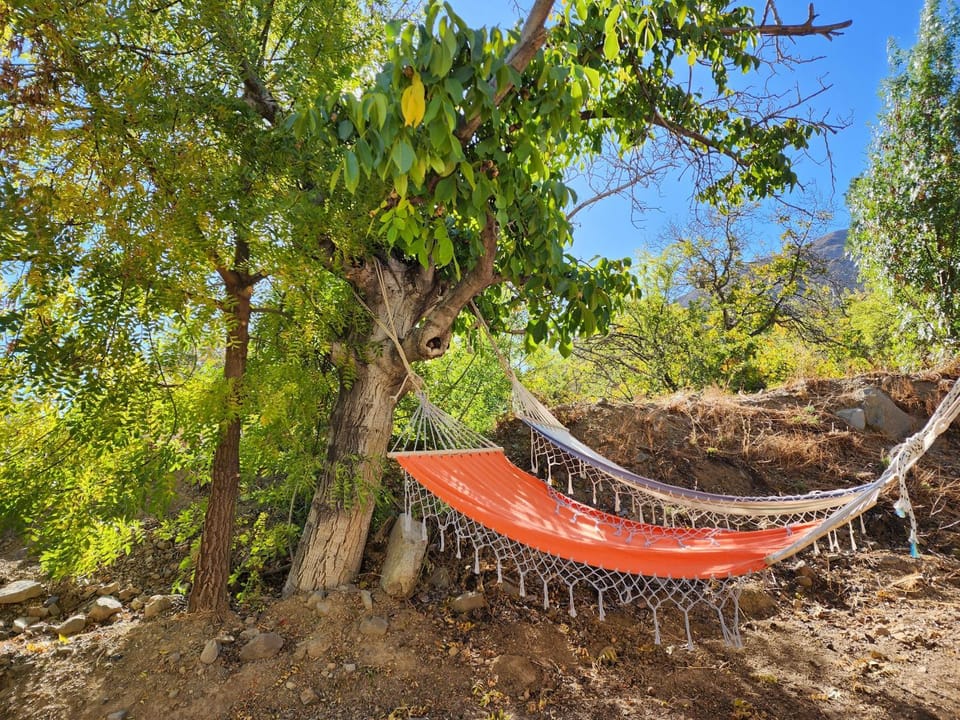Natural landscape, Garden, Balcony/Terrace