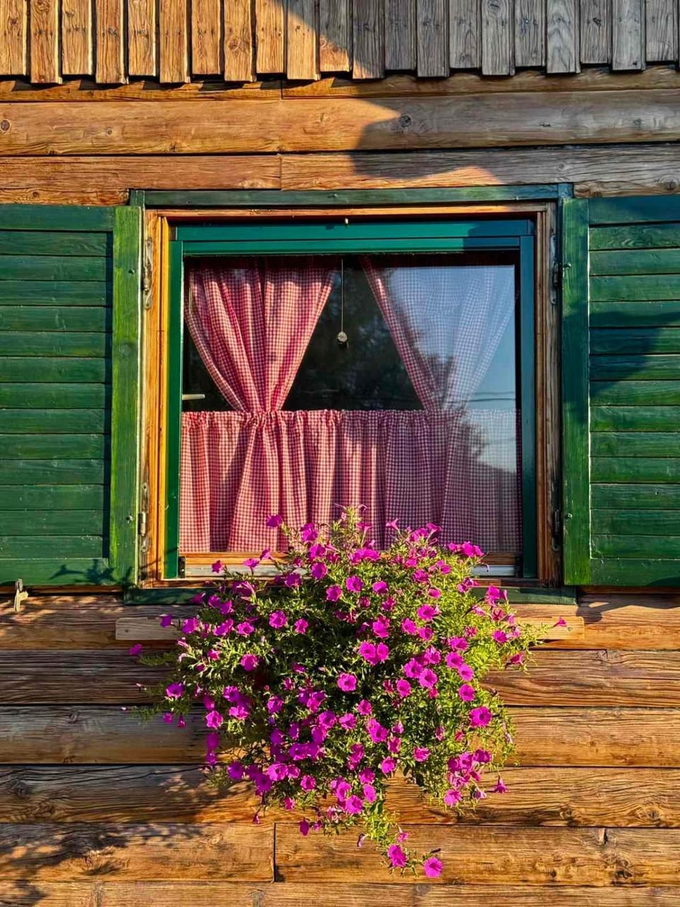 Brvnara LARA Banja Vrujci House in Serbia