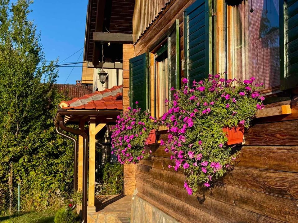 Brvnara LARA Banja Vrujci House in Serbia