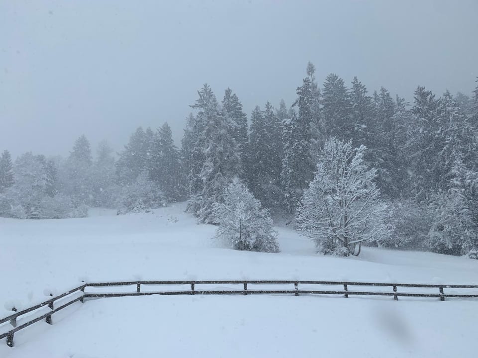 Casa da Tini Apartment in Canton of Grisons