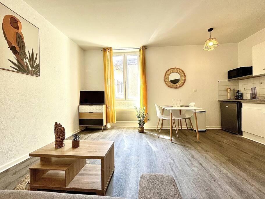 La Topaze Jaune - Romans Apartment in Provence